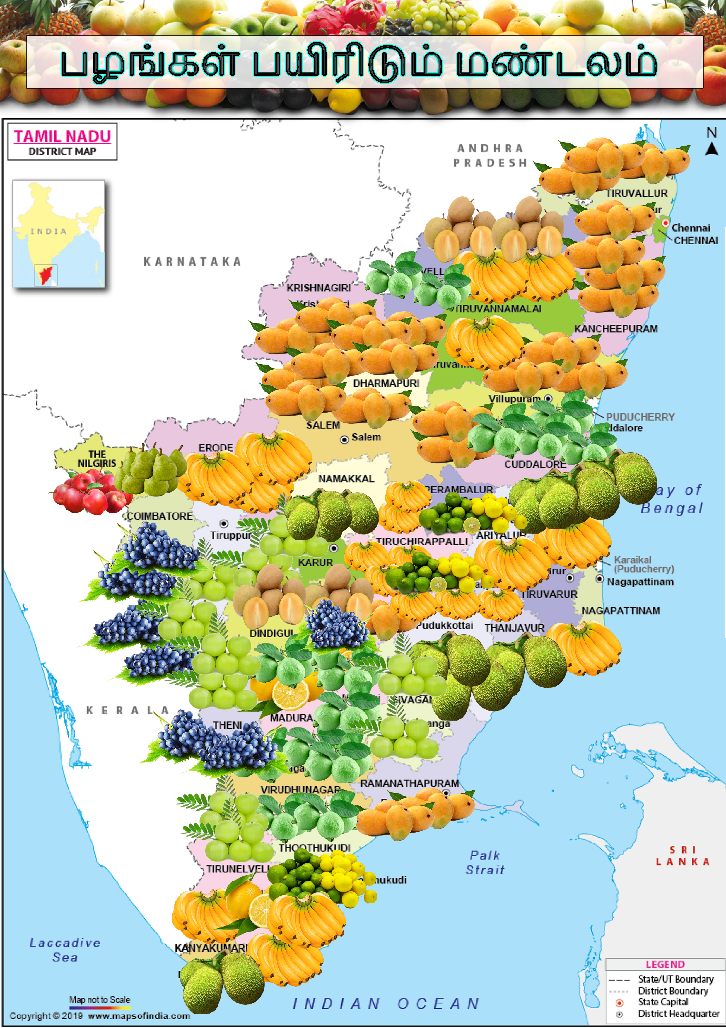 Horticulture courses in tamilnadu